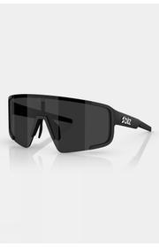 P003 Sunglasses