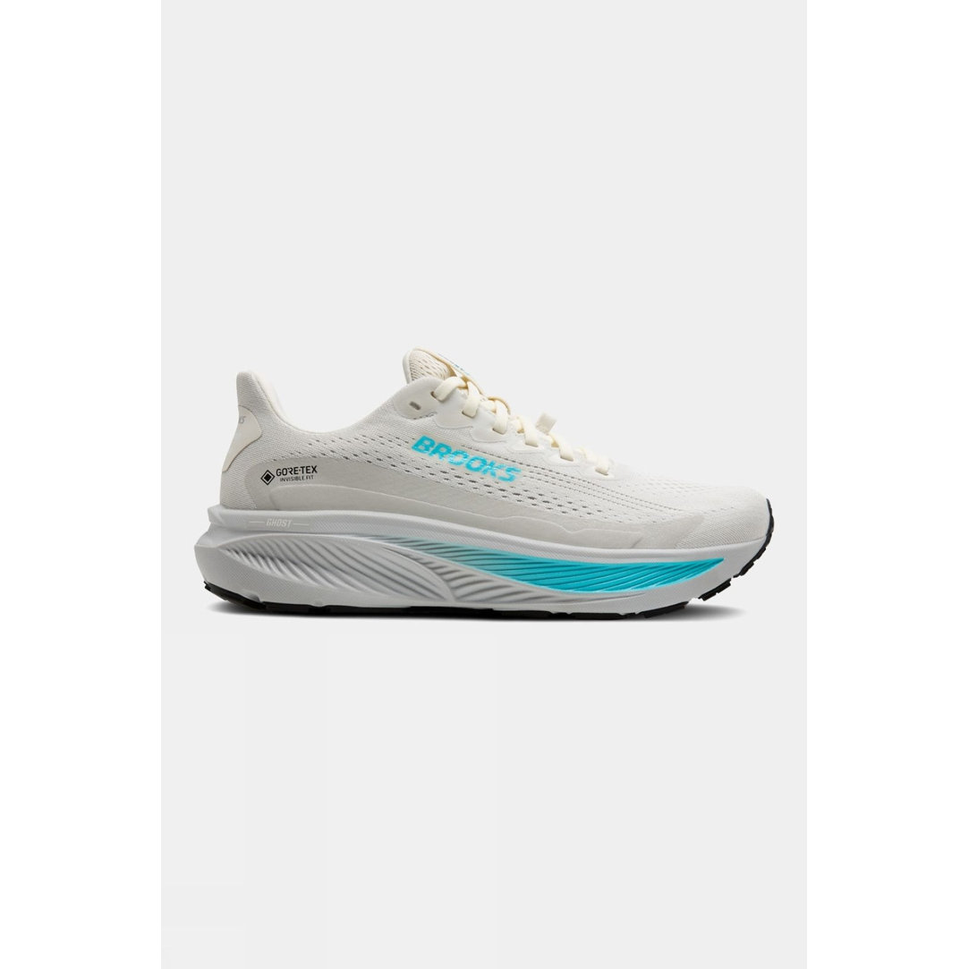 Womens Ghost 17 GTX Shoes